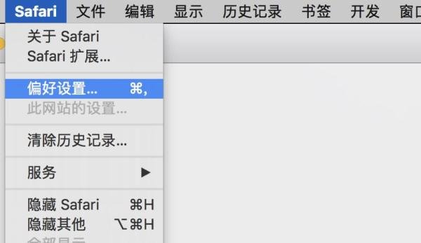 safari地址栏无法搜索怎么办?