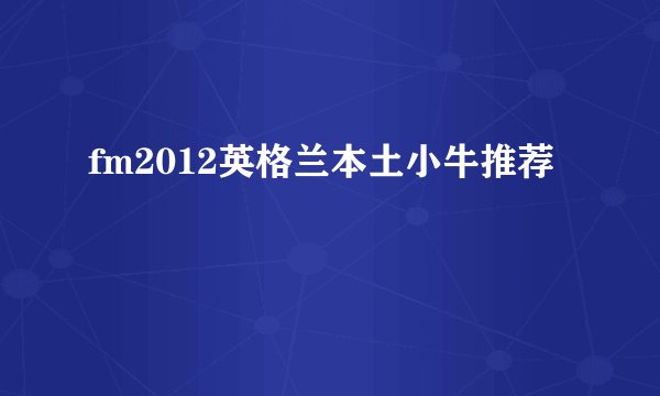 fm2012英格兰本土小牛推荐