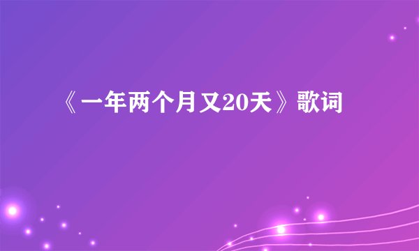 《一年两个月又20天》歌词