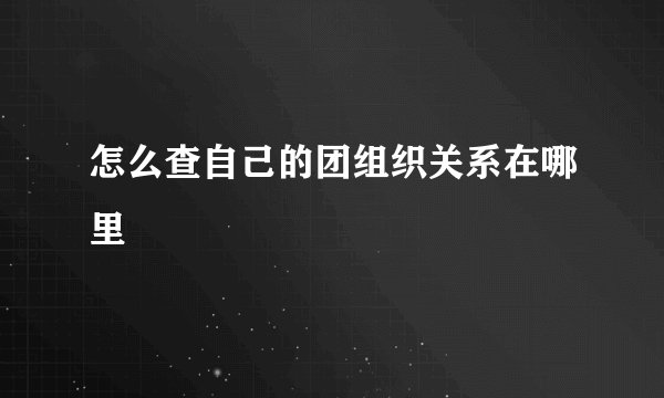 怎么查自己的团组织关系在哪里