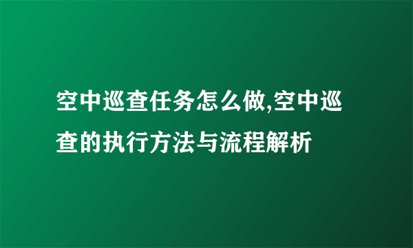 空中巡查任务怎么做,空中巡查的执行方法与流程解析