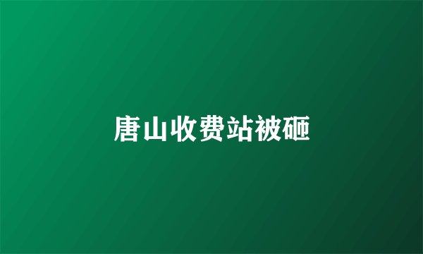 唐山收费站被砸