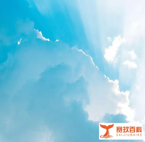 报名深圳专升本有什么院校可选择？