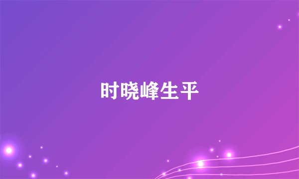 时晓峰生平