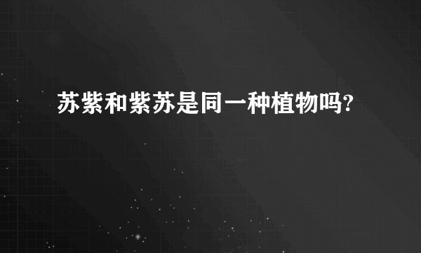 苏紫和紫苏是同一种植物吗?