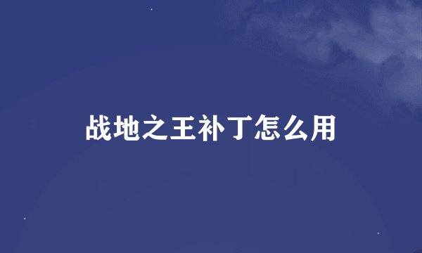 战地之王补丁怎么用