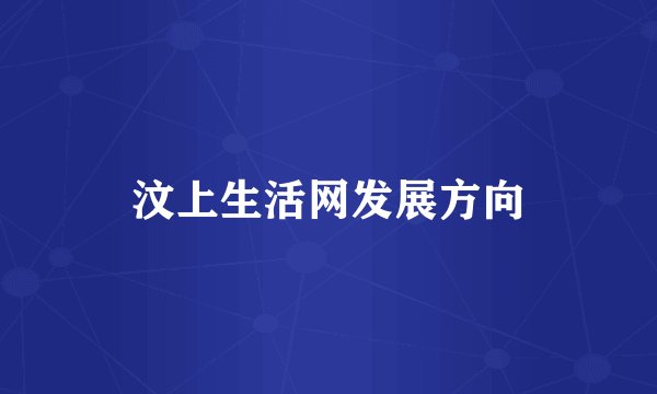 汶上生活网发展方向