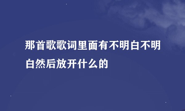 那首歌歌词里面有不明白不明白然后放开什么的