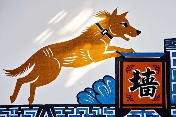 狗急跳墙打一生肖。