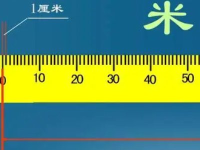 500mm有多高？