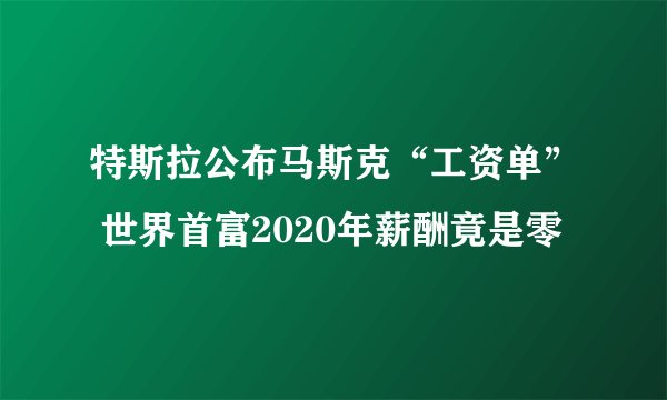 特斯拉公布马斯克“工资单” 世界首富2020年薪酬竟是零