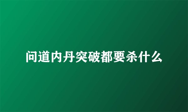 问道内丹突破都要杀什么