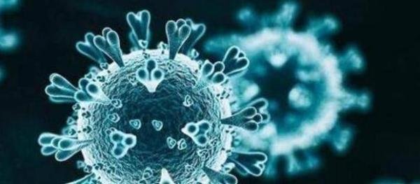 多地新政:核酸筛查不必全员参与 这是咋情况?