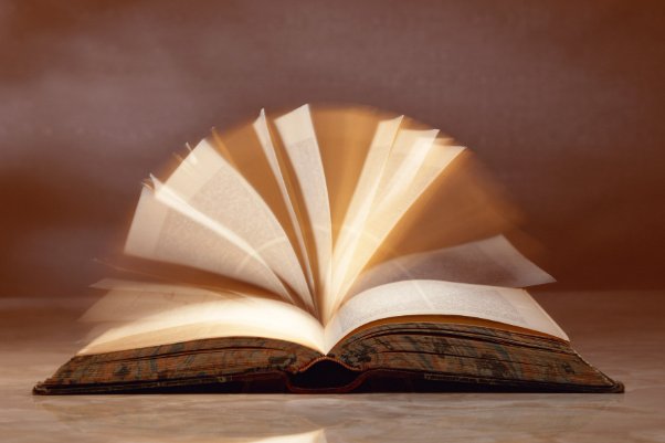 双桂联芳打个数字是几