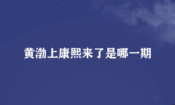 黄渤上康熙来了是哪一期