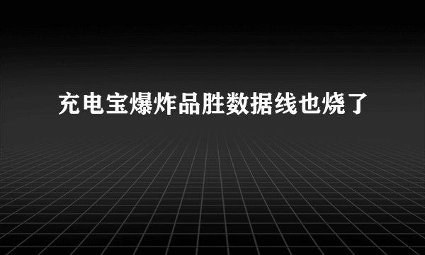 充电宝爆炸品胜数据线也烧了