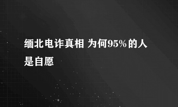 缅北电诈真相 为何95%的人是自愿