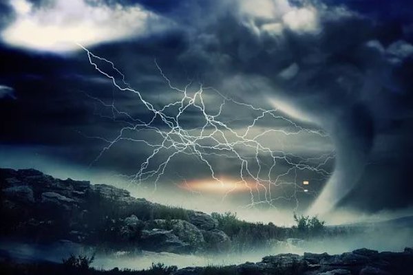 中植系的爆雷指的是什么？