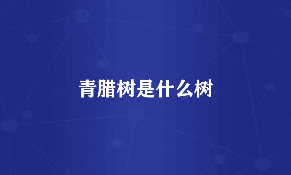青腊树是什么树