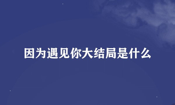 因为遇见你大结局是什么