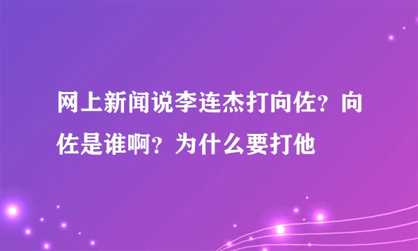 网上新闻说李连杰打向佐？向佐是谁啊？为什么要打他