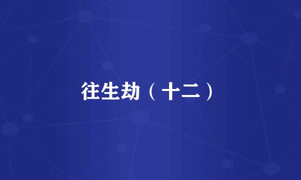 往生劫（十二）