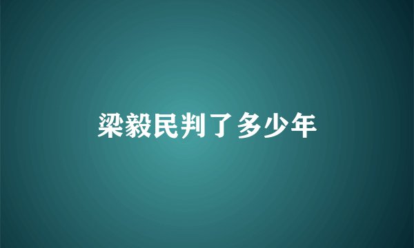 梁毅民判了多少年