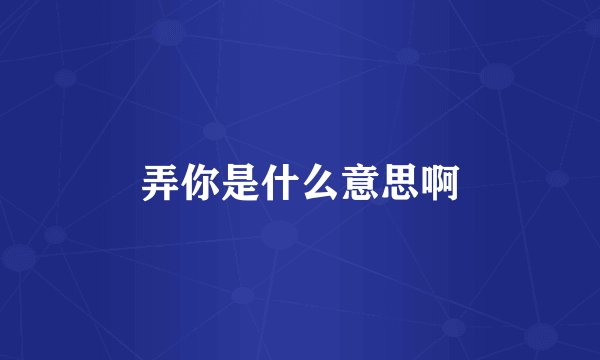 弄你是什么意思啊