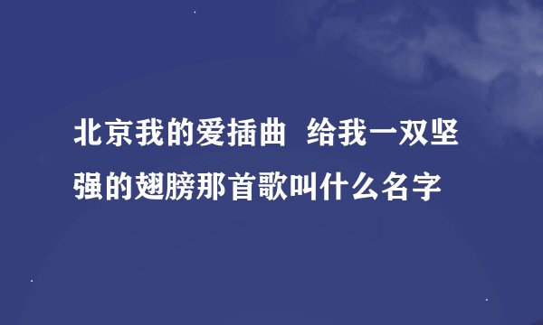 北京我的爱插曲  给我一双坚强的翅膀那首歌叫什么名字