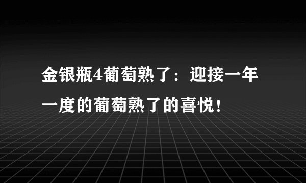 金银瓶4葡萄熟了：迎接一年一度的葡萄熟了的喜悦！