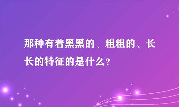 那种有着黑黑的、粗粗的、长长的特征的是什么？