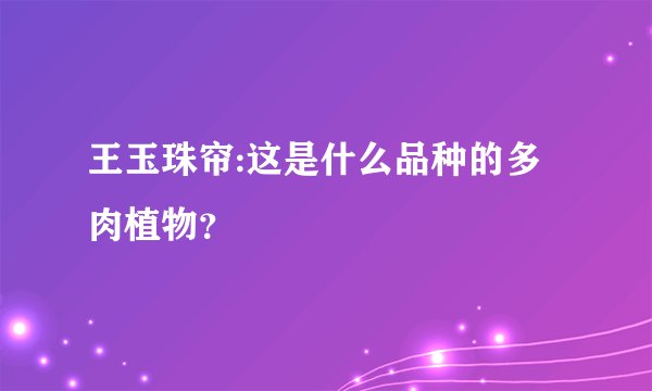 王玉珠帘:这是什么品种的多肉植物？