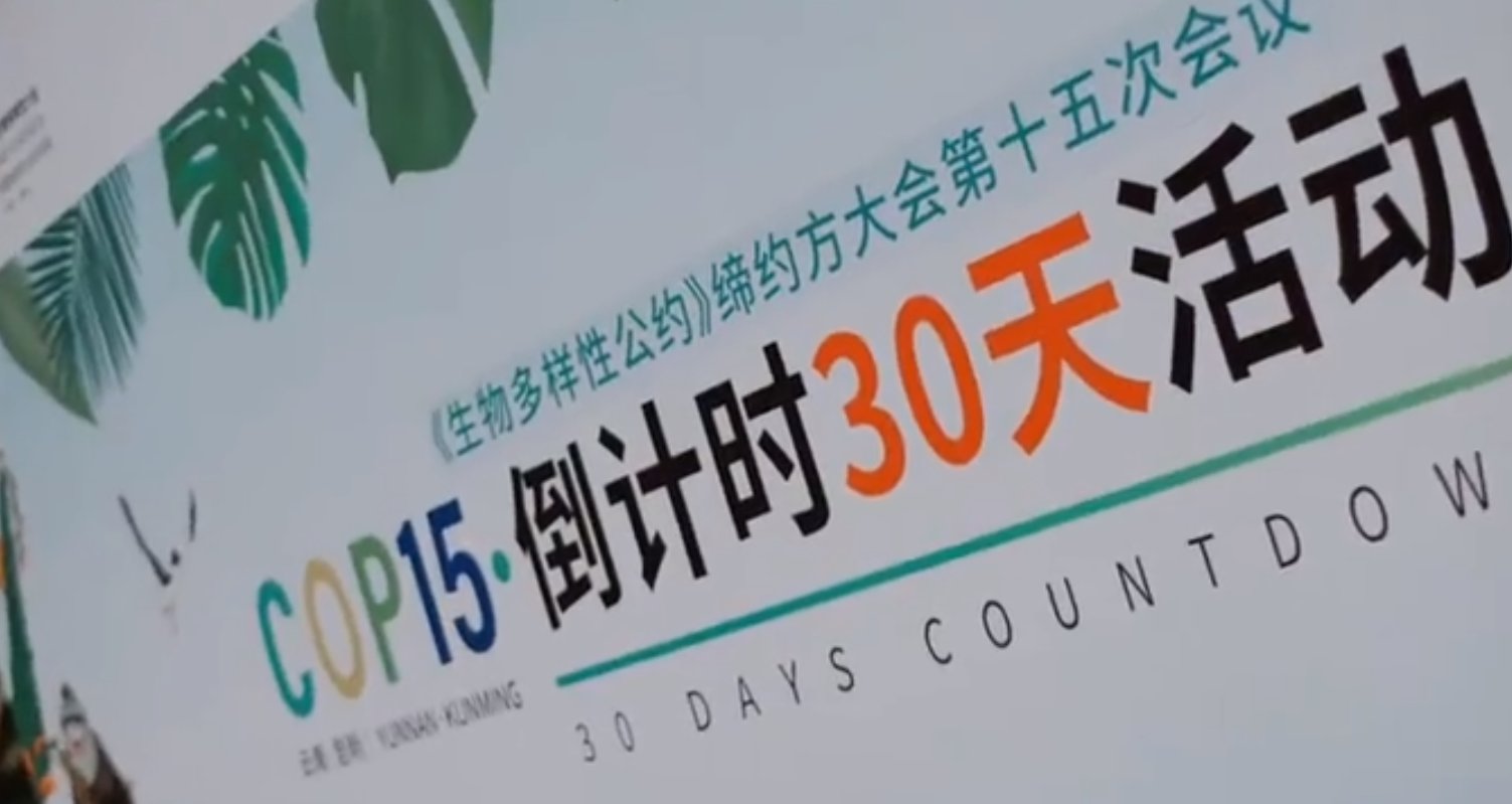 cop15有多少个国家出席?