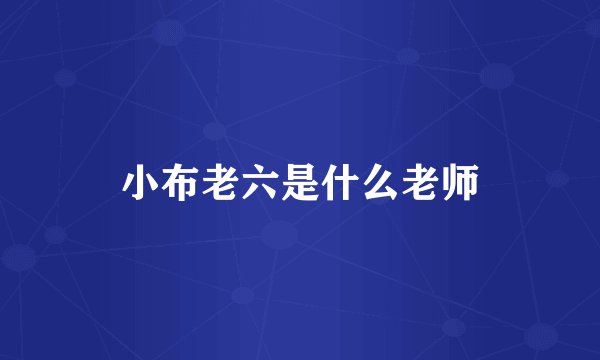 小布老六是什么老师