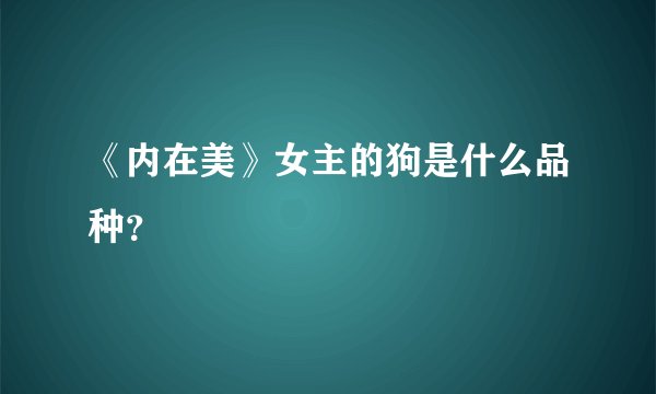 《内在美》女主的狗是什么品种？