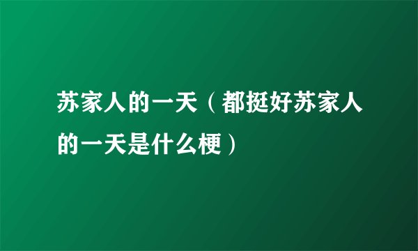 苏家人的一天（都挺好苏家人的一天是什么梗）