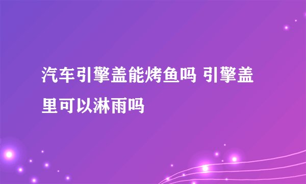汽车引擎盖能烤鱼吗 引擎盖里可以淋雨吗