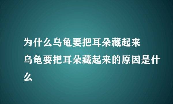 为什么乌龟要把耳朵藏起来 乌龟要把耳朵藏起来的原因是什么