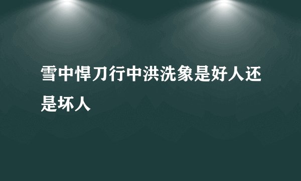 雪中悍刀行中洪洗象是好人还是坏人