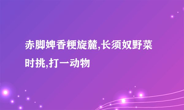 赤脚婢香粳旋麓,长须奴野菜时挑,打一动物