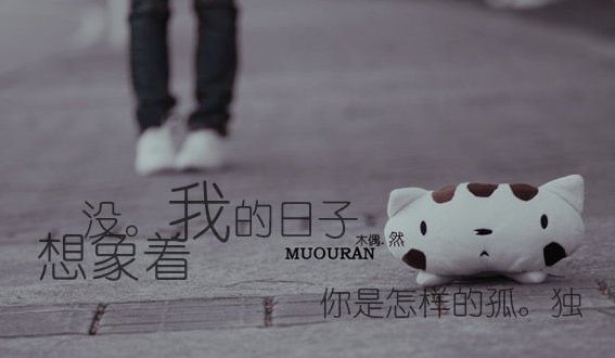 网络词非是什么意思