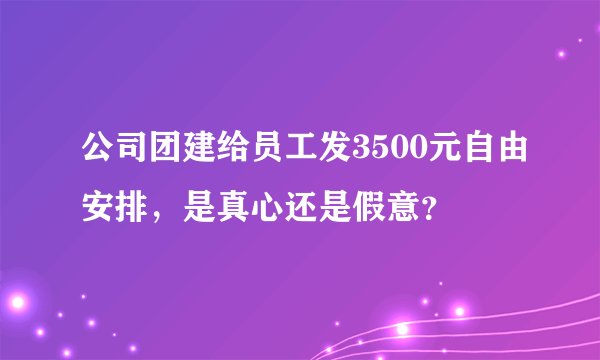 公司团建给员工发3500元自由安排，是真心还是假意？