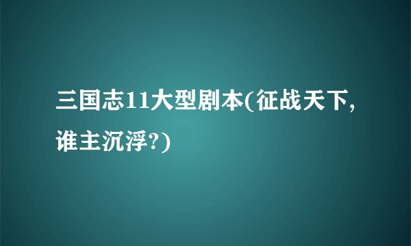 三国志11大型剧本(征战天下,谁主沉浮?)
