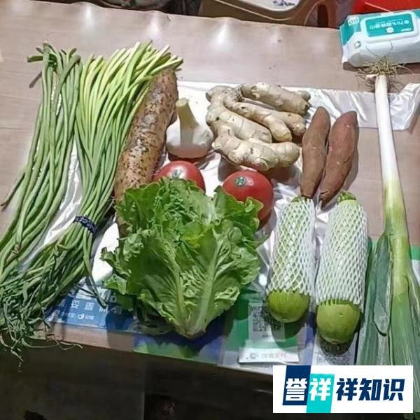 刚成立6天的企业为何能为上海保供？