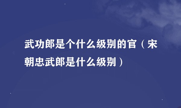 武功郎是个什么级别的官（宋朝忠武郎是什么级别）
