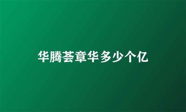 华腾荟章华多少个亿
