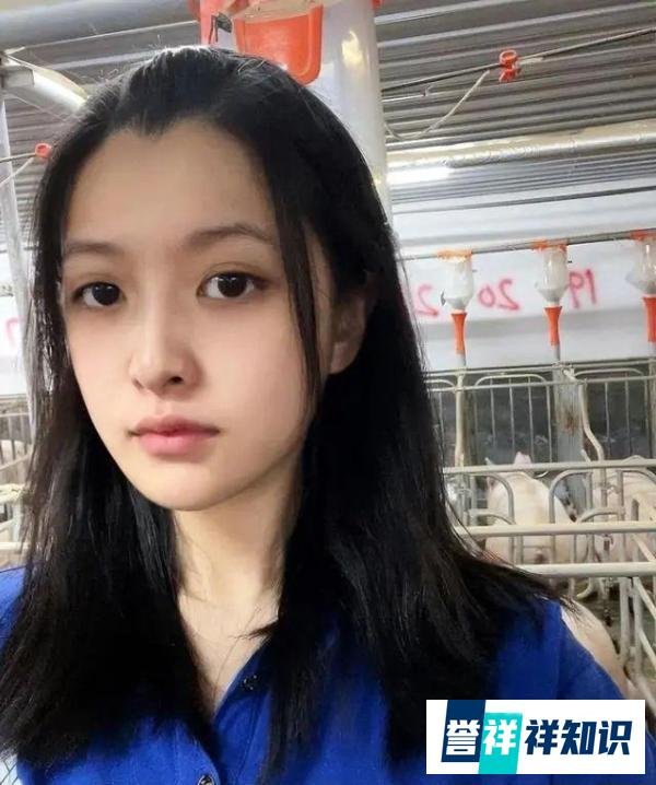 24岁高颜值女孩回应大学毕业养猪：学的兽医专业，每天6点起床，年薪10万