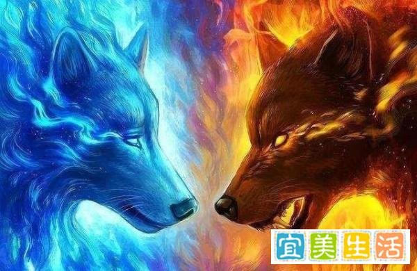 8本男主用刀的网络小说，剧情跌宕起伏，解决老书虫的书荒问题