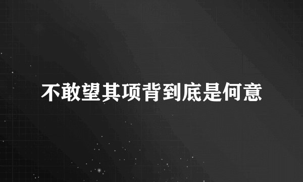 不敢望其项背到底是何意