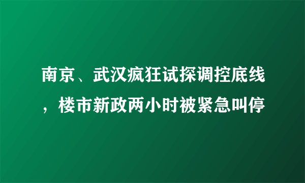 南京、武汉疯狂试探调控底线，楼市新政两小时被紧急叫停